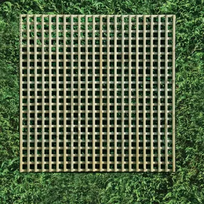 Square planed trellis against green hedge