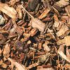 Bark