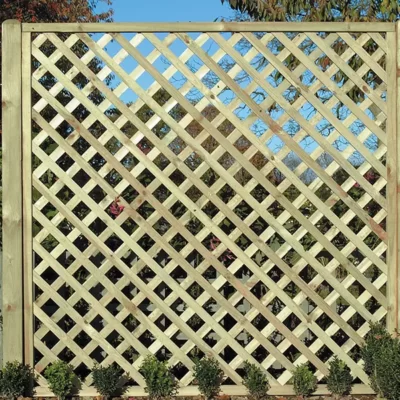 Trellis Panels