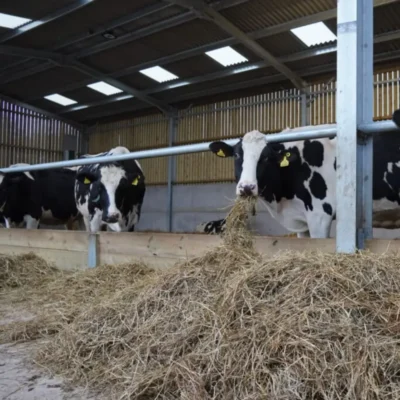 Single Rail Feed Barrier